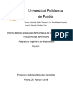 Informe Técnico: Producción Fermentativa de Vitamina B12 Por Pseudomonas Denitrificans