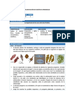 reino protista.pdf