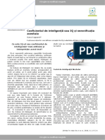 Articol IQTemplate_Revista_Stiinta.docx