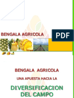 Bengala Agricola