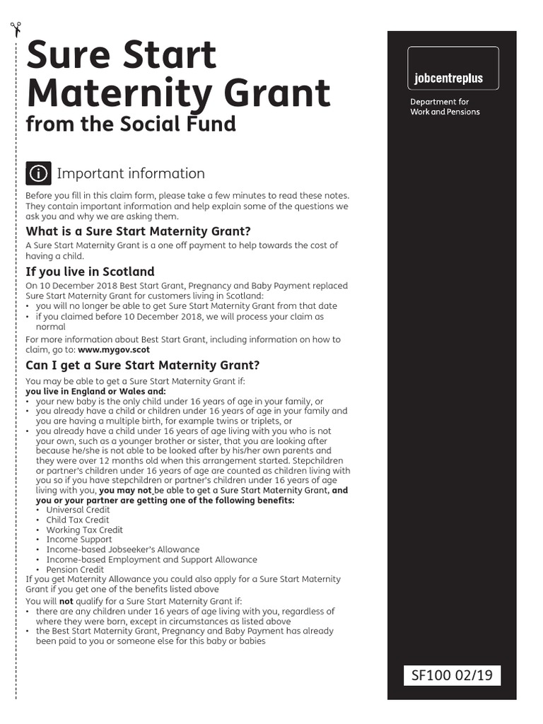 Sure Start Maternity Grant From The Social Fund PDF Mother
