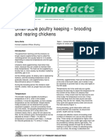 small-scale-brooding-rearing-chickens.pdf