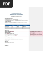 Robson - Plano de Aula 1.docx