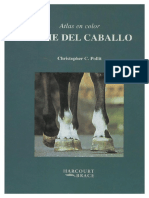 El_pie_del_Caballo.pdf