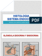 HISTOLOGIA- SISTEMA ENDOCRINO ACB - copia.pdf