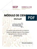 Presentación MC Malinalli.pdf.pdf