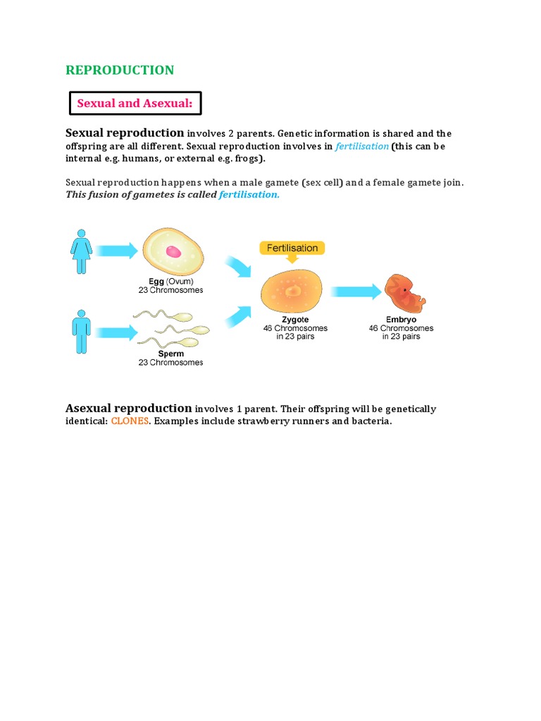 Sexual vs. Asexual Reproduction Explained | PDF | Science & Mathematics