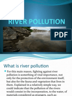 River Pollution