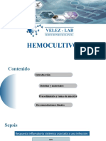 Presentacion Hemocultivos CJSM