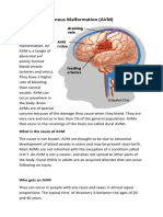 Brain Anteriovenous Malformation