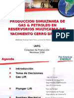 15.00hs - Dalle Fiore - PPT Presentación HGOR Production V2