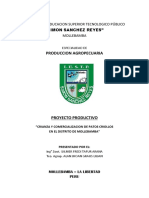 PROYECTO DE PATOS.docx