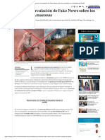 Alertan Por La Circulación de Fake News Sobre Los Incendios en El Amazonas - Perfil PDF