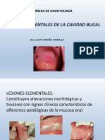 Lesiones Elementales Mucosa Bucal PDF
