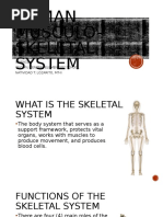 Human Musculo-Skeletal System Grade 6