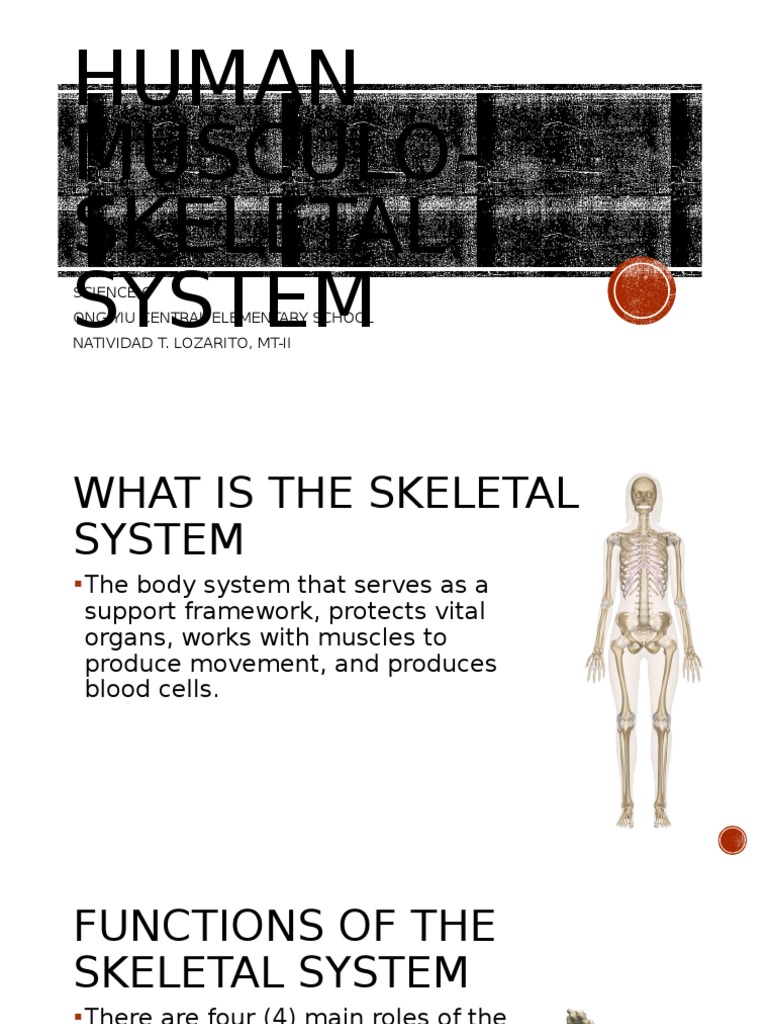 SKELETAL SYSTEM PARTS AND FUNCTIONS PDF GRADE 6 visual data 6