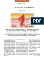 Las Heridas y Su Cicatrización