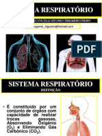 Sistema Respiratórios 