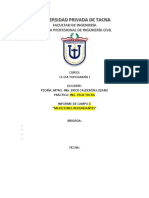 Ejemplo de Informe de Campo Topo I