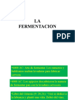 Fermentacion