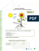 Articles-19432 Recurso Doc (3)