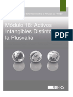 18_ActivosIntangiblesDistintosdelaPlusvalia.pdf