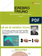 Cerebro Triuno