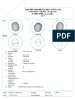 Lks mikro sphaerodinolopsiss.doc