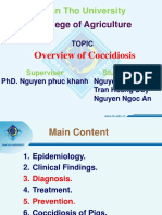 CanhB1401288 DuyB1509304 AnB1703454 Overview of Coccidiosis