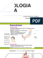 Fisiologia Osea Teoria 19 II