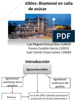 Agrobiocombustibles.pptx