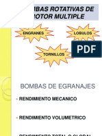 170739785-Bombas-Rotativas-de-Rotor-Multiple.pdf