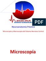 Neuroanatomía Práctica: Microscopía y Macroscopía Del Sistema Nervioso Central