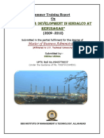Training and Development HR HINDALCO PDF