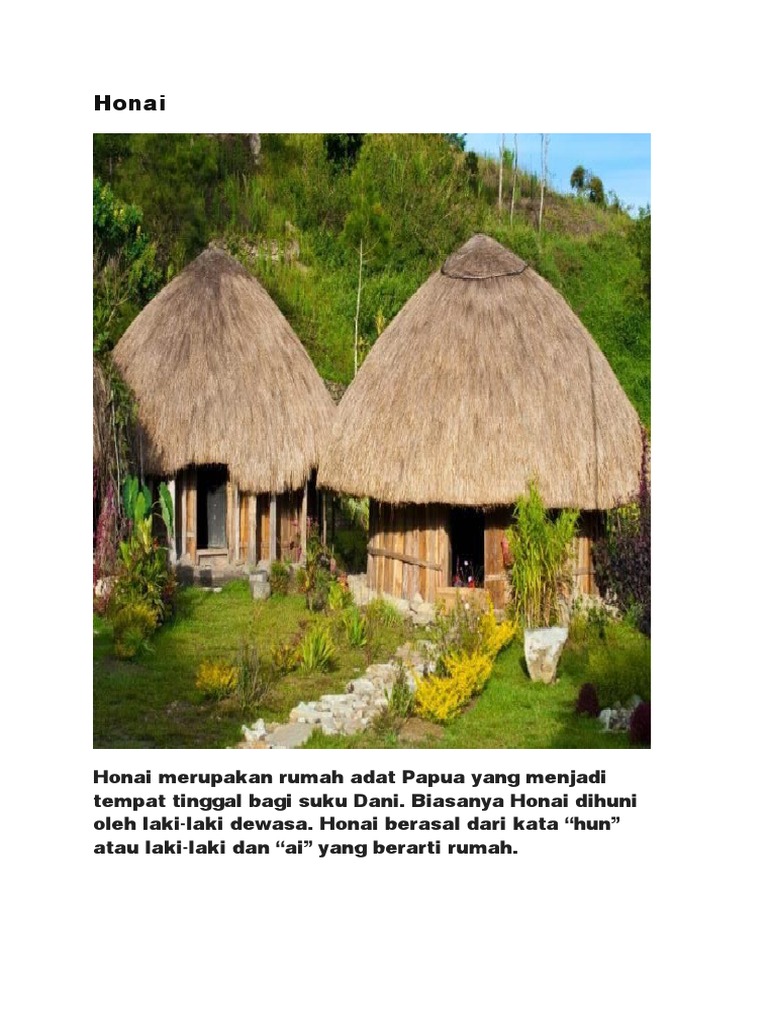 25 KOleksi Foto Gambar Rumah Adat Papua Honai