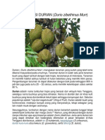 Klasifikasi Dan Morfologi Durian