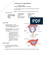 5-17 Endocrine Handout