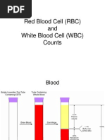 Download RbcWbc Count by Shivangi Chandra SN42439936 doc pdf