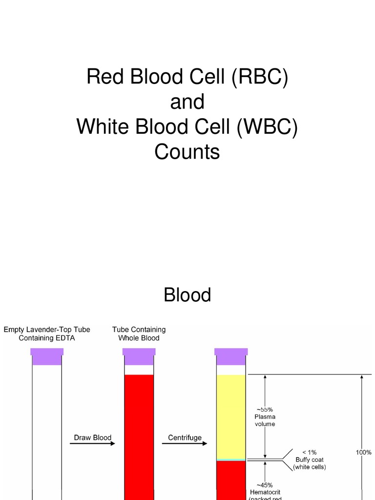 The Ultimate Guide To Understanding C In Your Wbc Rbc - 2d07gcf