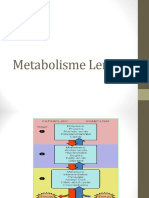 V. Metabolisme Lemak