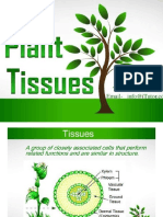 07 Microscopic Structure of Plants Cell and Tissue