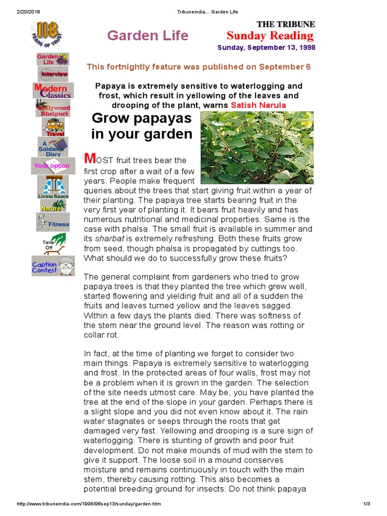 Grow Papayas in Your Garden PDF Trees Plants