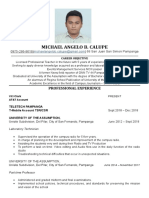 Michael Angelo B. Calupe: Professional Experience