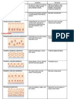 Summary of Epithelial Tissue-1