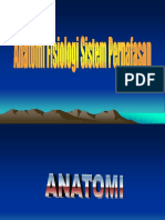 anatomi-fisiologi-sistemc2a0pernafasan1