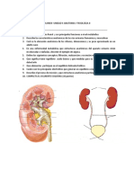 Examen Unidad 4 Anatomia y Fisiologia Ii