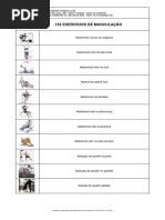 exercicios_musculacao