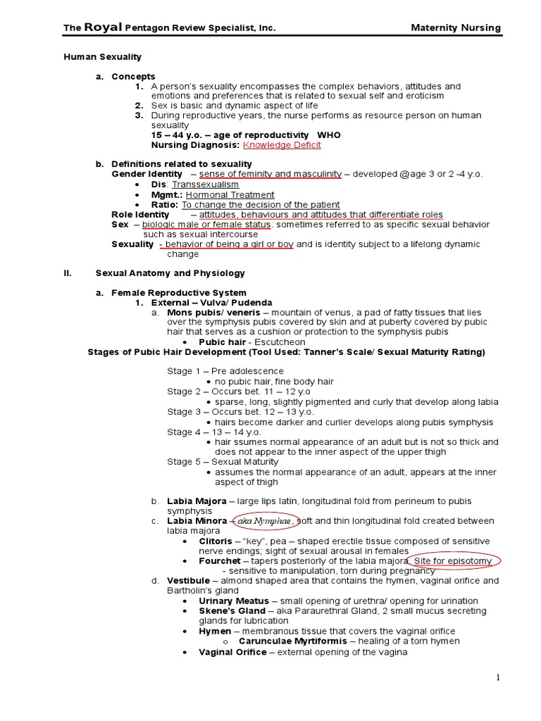 Maternity Nursing PDF Menstrual Cycle Endocrine System