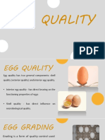 Egg Quality & Grading: Factors that Determine Shell & Interior Quality