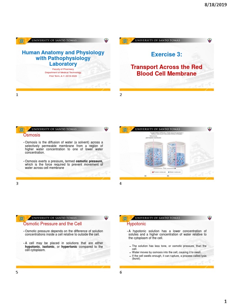 Potato osmosis lab controlled variables picture